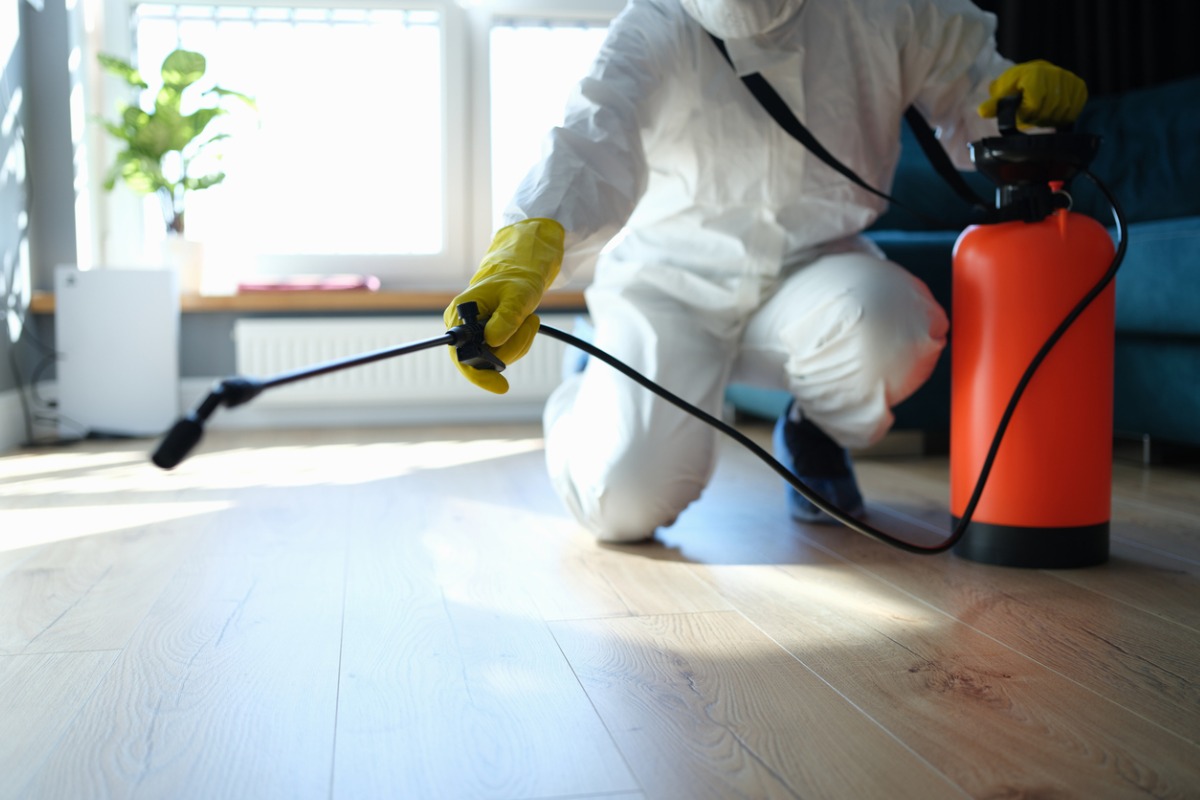 Pest Control Companies